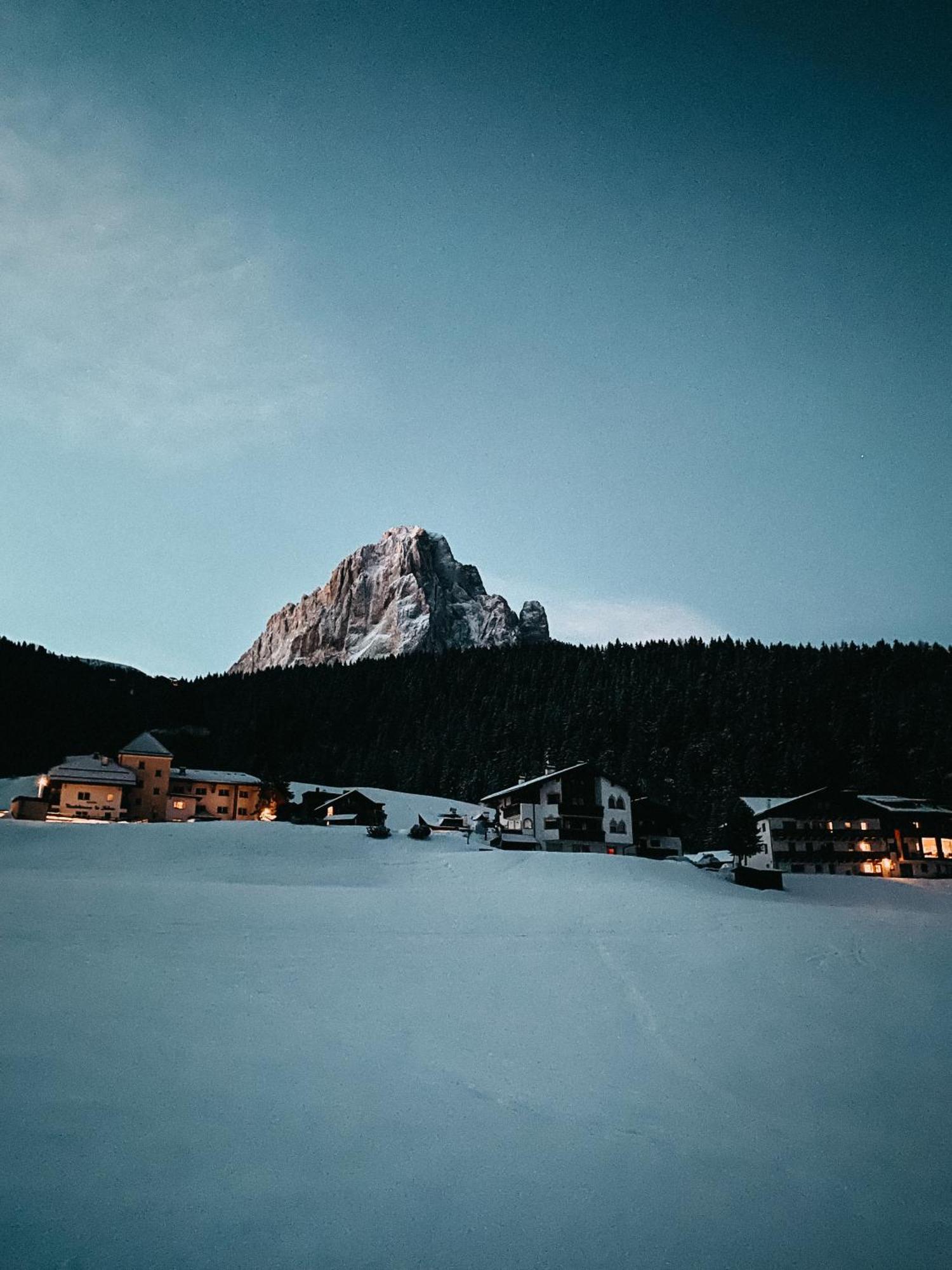 Mountain Chalet Pra Ronch Селва ди Вал Гардена Екстериор снимка